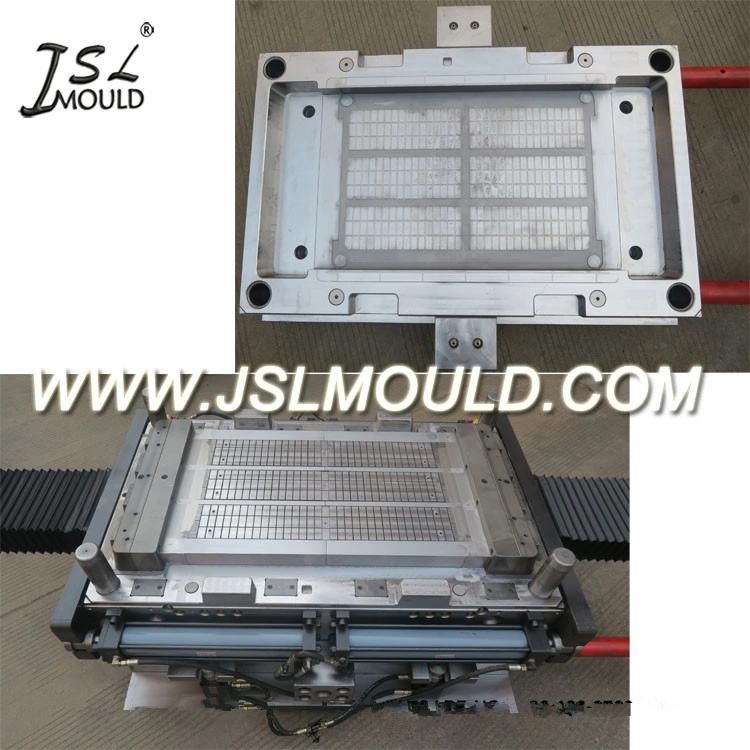 Plastic Injection Shelf Mould