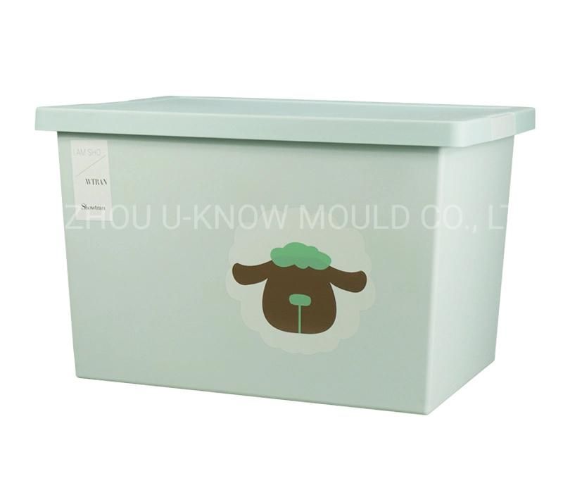 Transparent Storage Container Mold Plastic Camping Box Injection Mold
