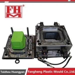 Plastic Injection Storage Box Handle Mold