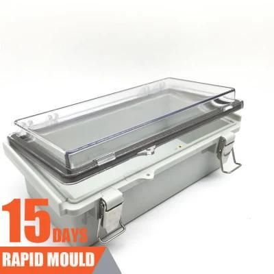 OEM Plastic Injection Precision Mould/Mold/Moulding/Molding