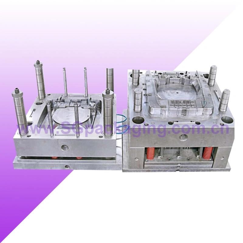 Customized Plastic Injection Mold Mould for Auto Parts/Motorcycle Parts
