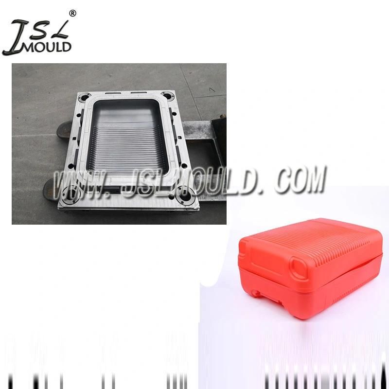 Taizhou Professional Plastic Luggage Case Mould