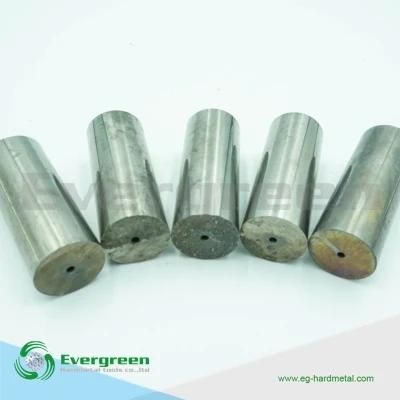 Tungsten Carbide Cold Forging Dies with Surface Grinding