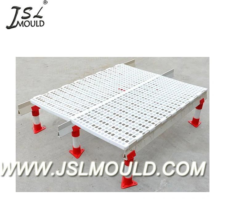 Quality Mold Factory Professional Experienced Injection Plastic Broiler Chicken Slat Floor Mould