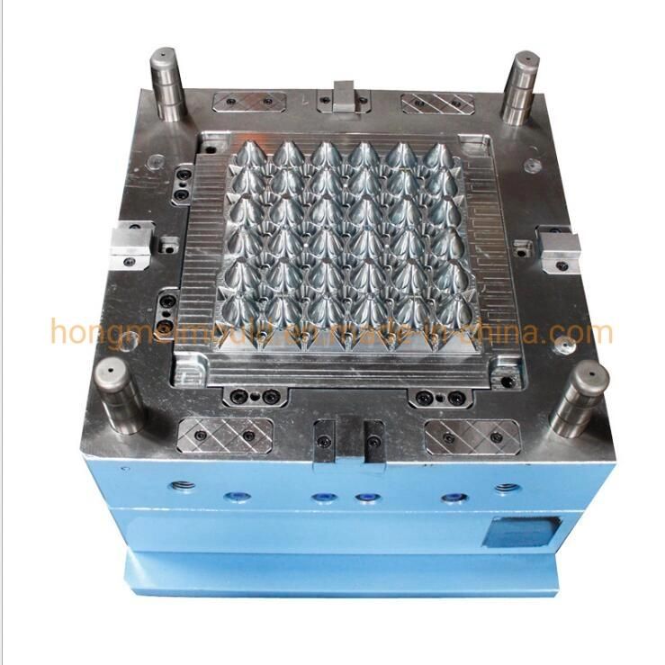 PP Plastic Egg Tray Injection Mould for Sale Second Hand Household Injection Mould for Egg Promotion in China