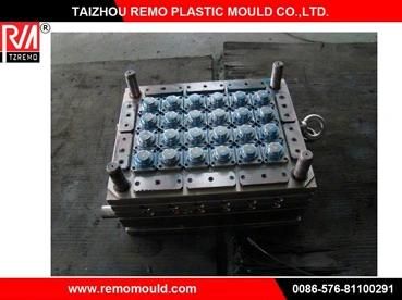 RM0301071 Plastic Bottle Cap Mould Supplier