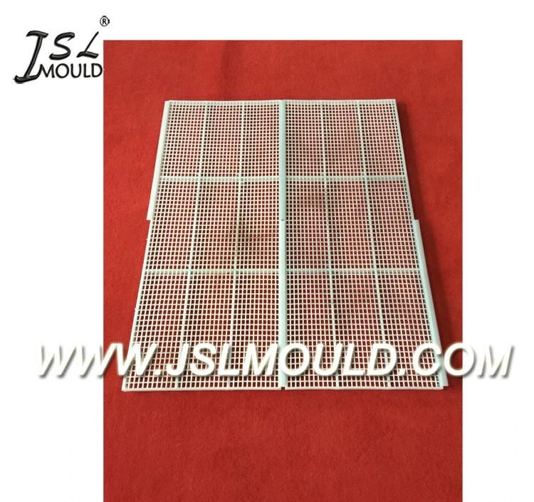 Customized Injection Plastic Poultry Slat Boiler Floor Mould