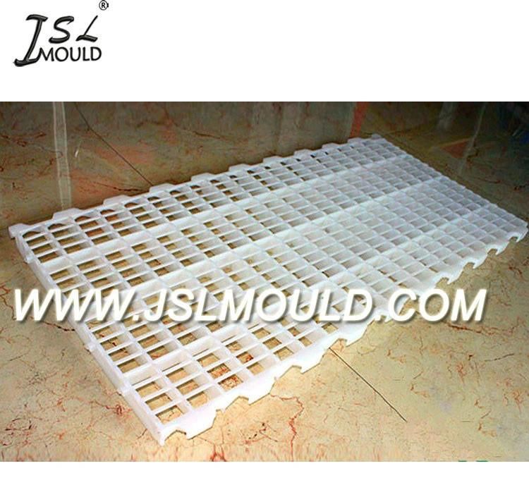 Quality Mold Factory Professional Experienced Injection Plastic Broiler Chicken Slat Floor Mould