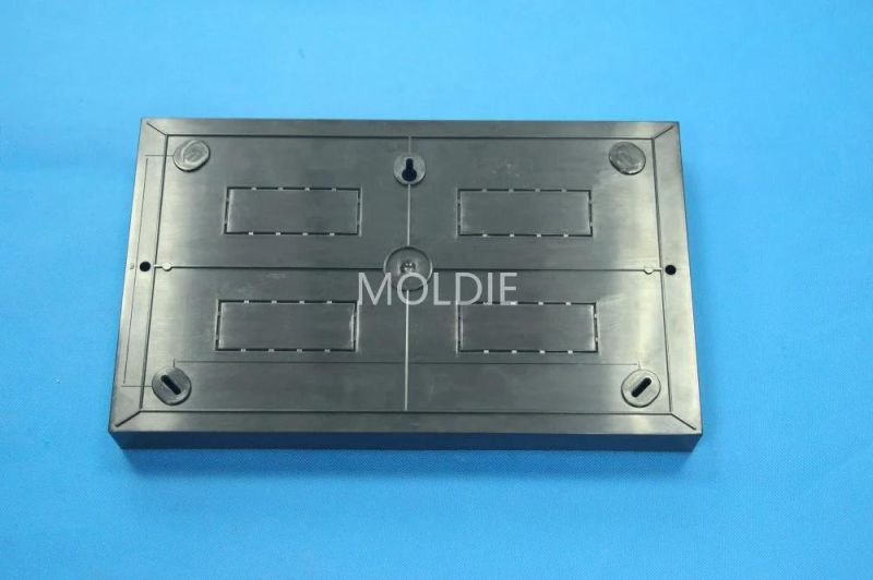 Customized/Designing Plastic Injection Mould with Cover