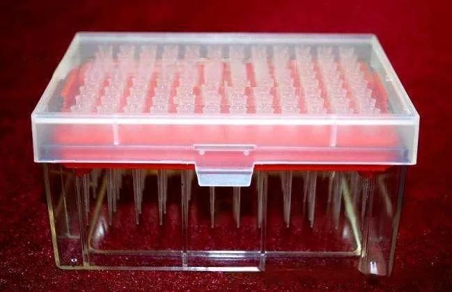 Disposable Virus Tube Mould Mould 16 Cavity Pet Tube Plastic Medical Blood Collection Tube Injection