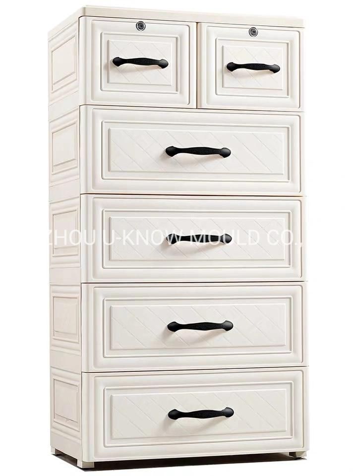 Plastic Wardrobe Injection Mould Drawer Mold
