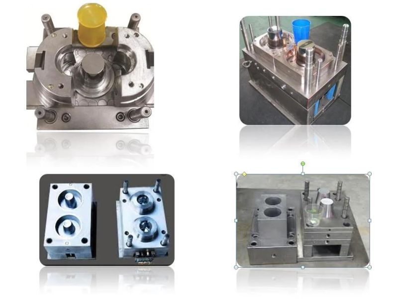 Customized Outdoor Portable Cup Large Volume Plastic Bottles Injection Mold