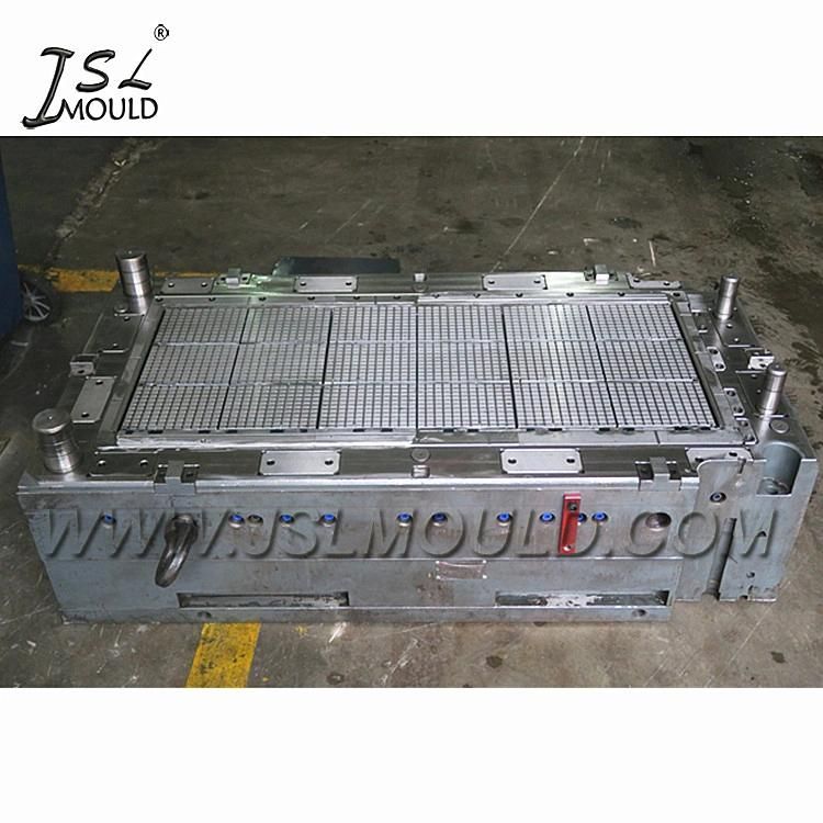 Taizhou Mold Factory Quality Injection Plastic Broiler Chicken Plastic Slat Floor Mould