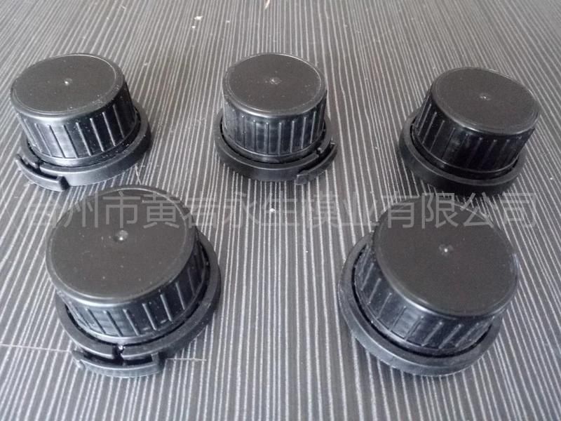 Various Kinds Plastic Injection Cap Mould