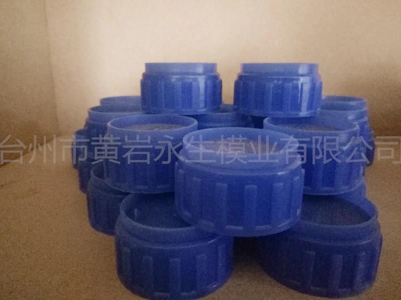 Various Kinds Plastic Injection Cap Mold