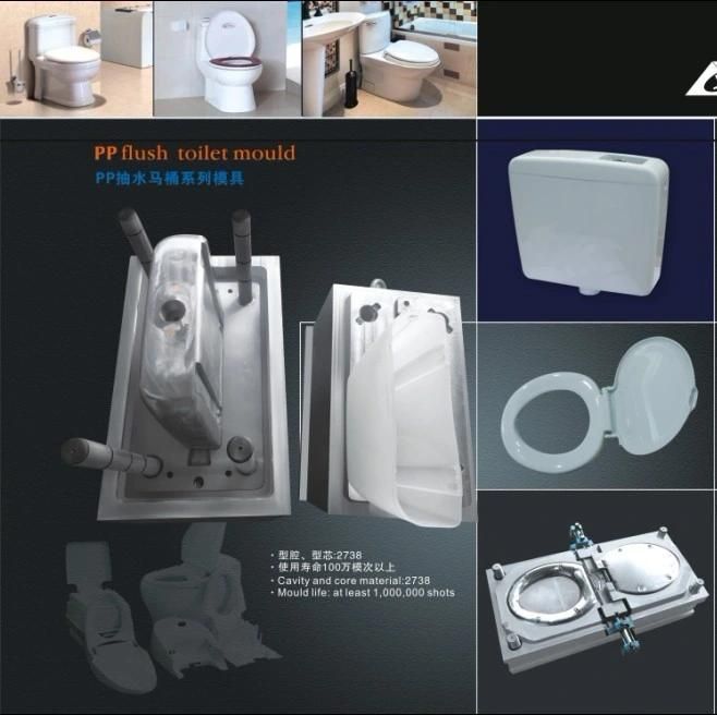 PP Flush Toilet Plastic Injection Mould
