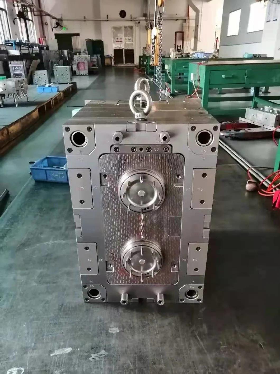 OEM ODM Plastic Injection Mould for PMMA/Acrylic Auto Lamp
