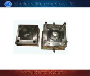 Plastic Injection Mold for Speedo (B05S)