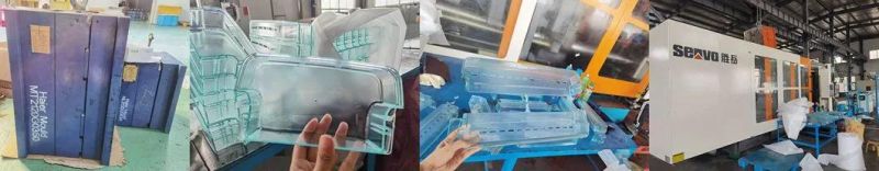 OEM Injection Mold/Mould /Moulding /Molding for Auto Plastic Light Guide