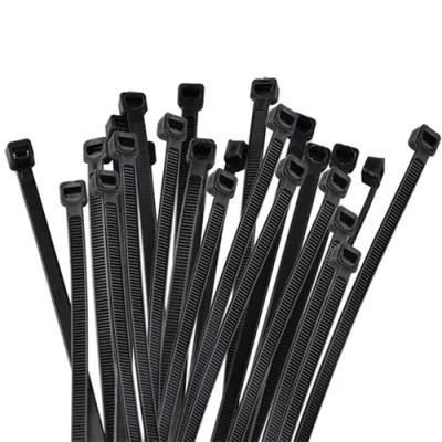 Plastic Injection Mold Plastic Seal Ties Mould Cable Tie Injection Mould Heromould