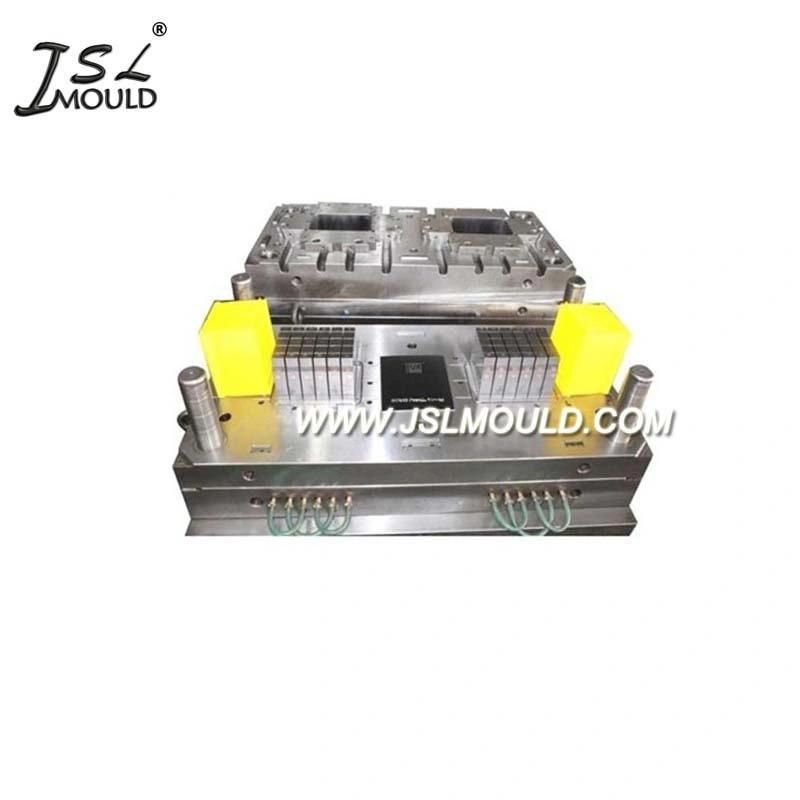 OEM Rich Experienced Injection Car Battery Container Mould