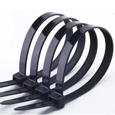 Plastic Injection Mold Plastic Seal Ties Mould Cable Tie Injection Mould Heromould