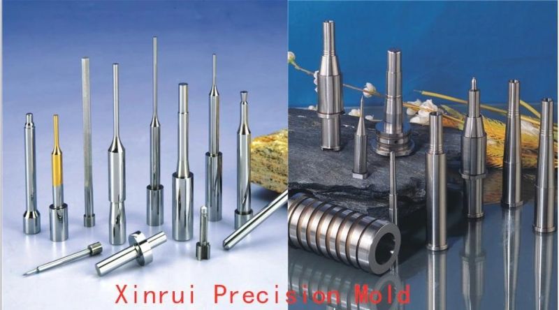 High Quality Various Carbide Punch with Tin Coating Spare Parts