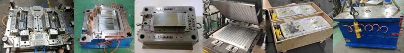 China Plastic Mould Molding Making for Injection Mold