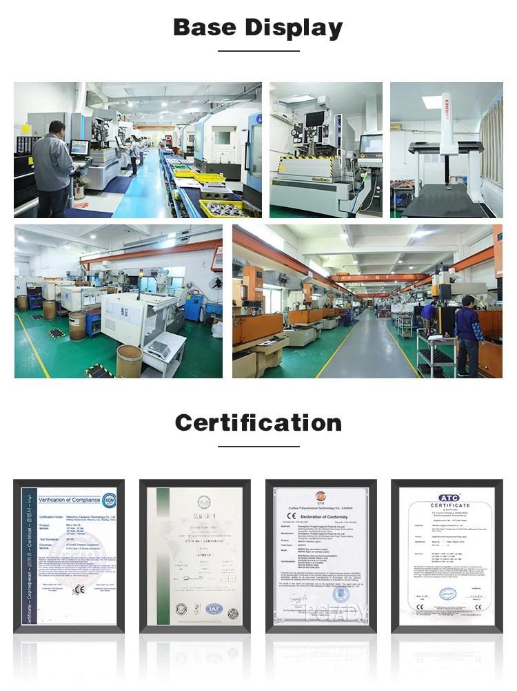 Large Complex with Slider and Insert Molding Plastic Injection Mold for Molding Auto Spare Parts