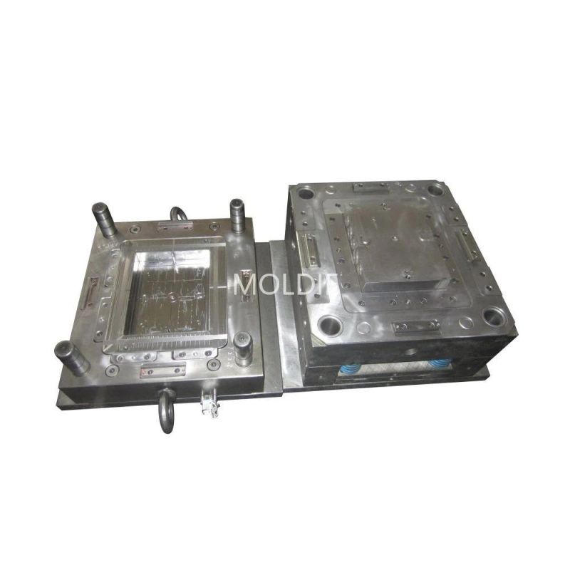 Customized/Designing Plastic Injection Molds for PPR Pipe Fitting