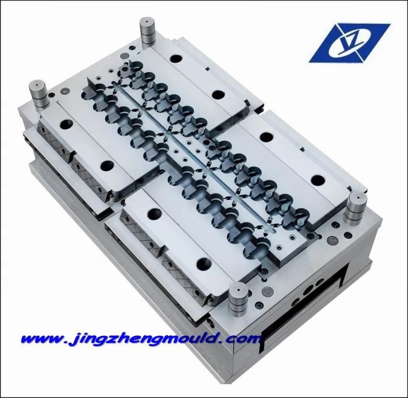 Injection Pipe Mould/Mold/Injection Machine Company