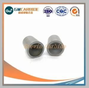 Polished Tungsten Carbide Dies for Wire Drawing Use