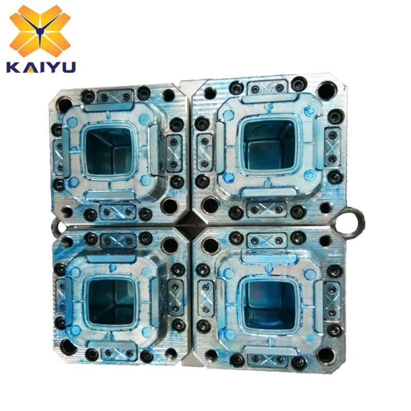 Plastic Thin Wall Square Fruit Cup Injection Mould with Lock Cover