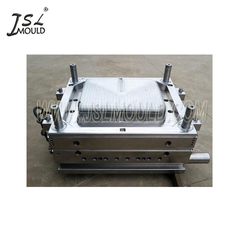 Injection Plastic Suitcase Mould