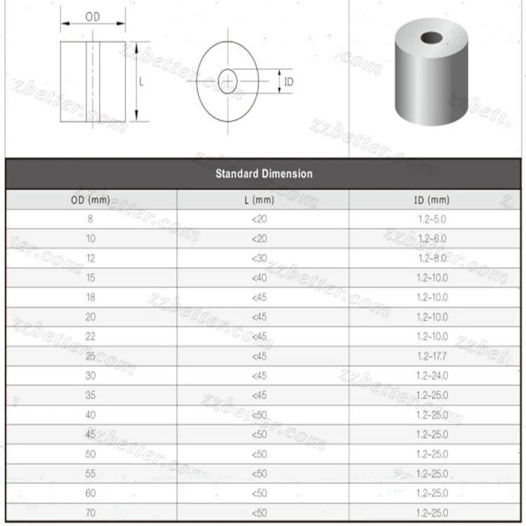 Tungsten Carbide Cold Heading Dies Stamping Mold