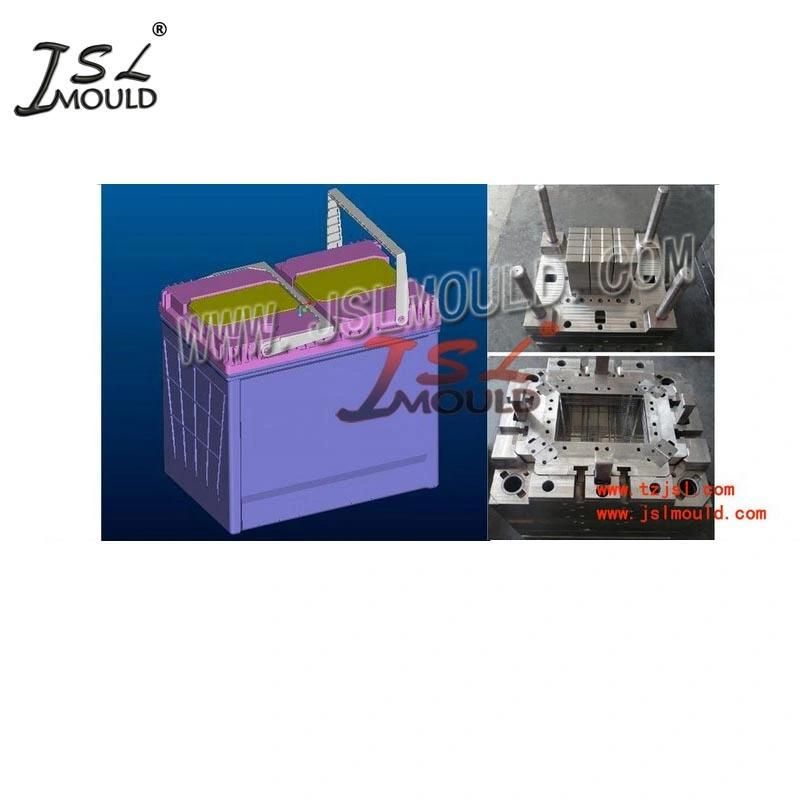High Quality Custom Plastic Injection Car Battery Box Mould