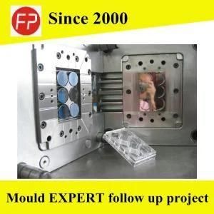 Plastic Injection Mould for Acrylic PMMA Product Display