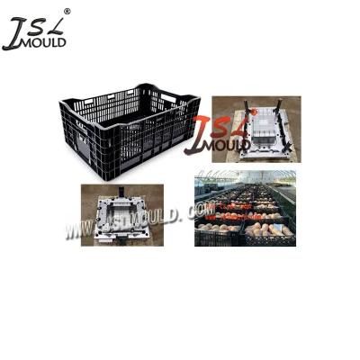 Experienced Making Quality Plastic Potato Vegetable Crate Mould