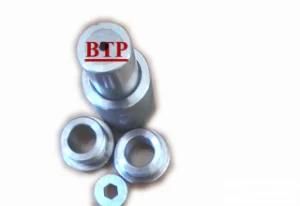 Hot Sale Tungsten Carbide Punch (BTP-P075)