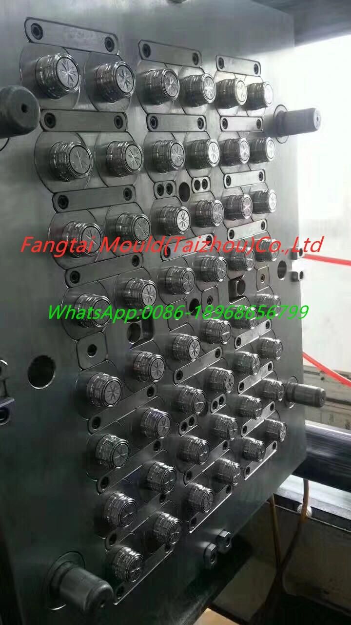 Multi Cavity Bottle Cap Mould