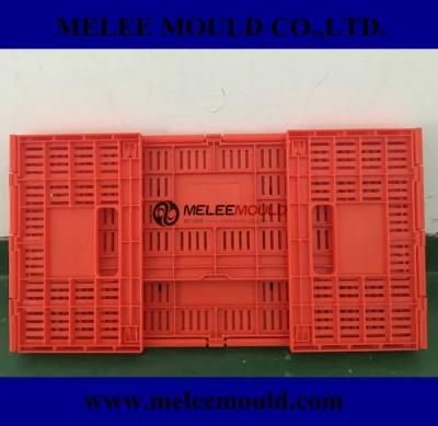 Melee Plastic Collapsible Crate Mould