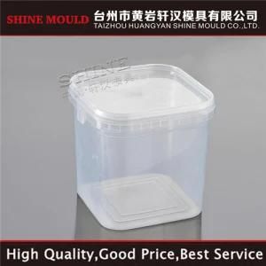 China Shine Transparent Food Keeper Plastic Injection Mold