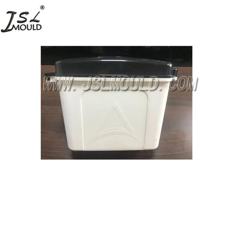 Taizhou Experienced Motorcycle Trunk Mold Manufacturer