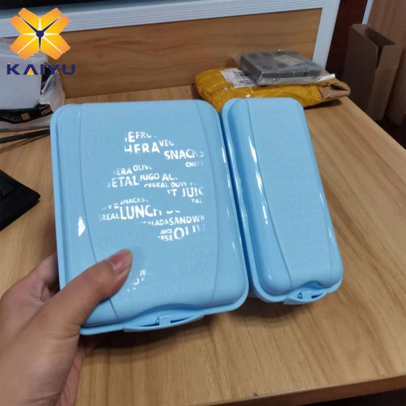 Double Cabin Food Container Mould Injection Molding Plastic Box with Beiutiful Dermatoglyphics