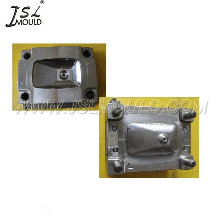 Injection Plastic Car Side Mirror Cover Mould