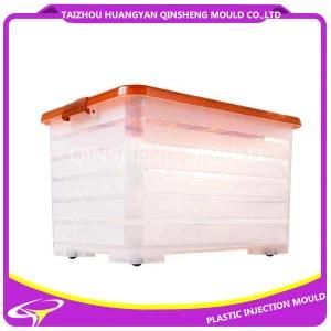 Plastic Injection Transparent Storage Box Mold
