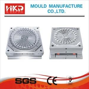 Plastic Thin Wall Injection Mould