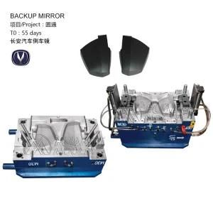 Backup Mirror Mould