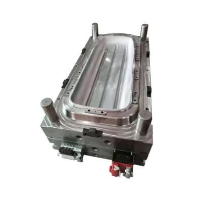 Custom Plastic Injection Skiing Tool Mold/Tooling/Molding/Moulding