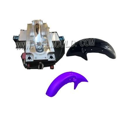 Taizhou Experienced Injection Plastic Platina CT-100 Motorcycle Mudguard Mould